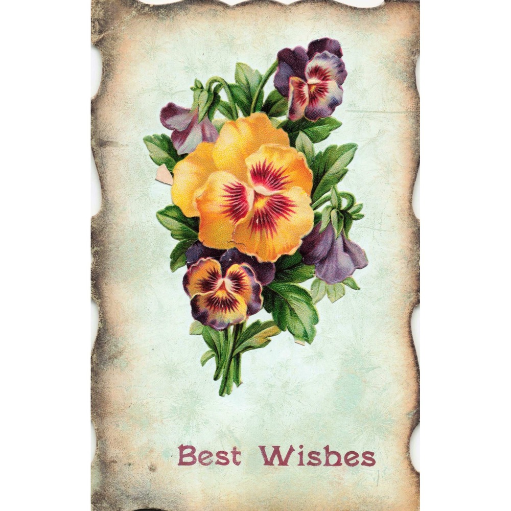 Antique 1909 Best Wishes Pansy Flower Postcard Wind Gap PA Scalloped Edge